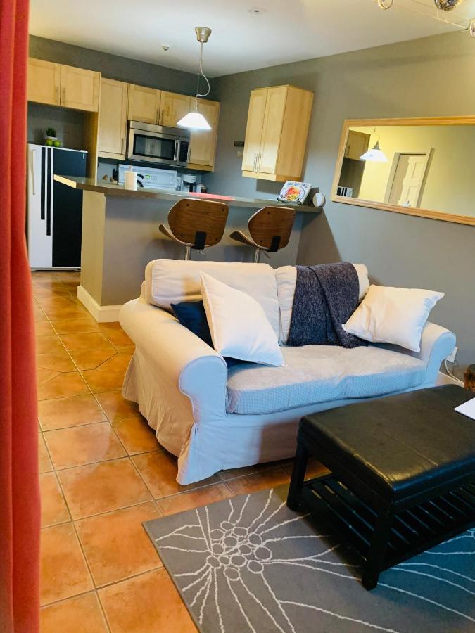 Condo Entier, Fully Equiped Pool And Spa Only In Summer Mont-Tremblant Zewnętrze zdjęcie
